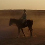 Riding a horse in Hurghada