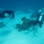 Daily Diving in Hurghada