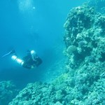 Daily Diving in Hurghada