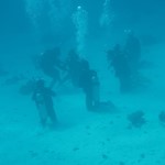 Daily Diving in Hurghada