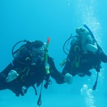 Daily Diving in Hurghada