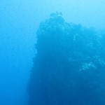 Daily Diving in Hurghada