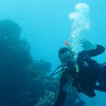 Daily Diving in Hurghada