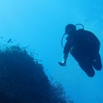 Daily Diving in Hurghada