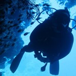 Daily Diving in Hurghada