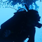 Daily Diving in Hurghada