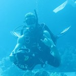 Daily Diving in Hurghada