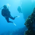 Daily Diving in Hurghada