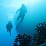 Daily Diving in Hurghada