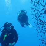 Daily Diving in Hurghada