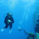 Daily Diving in Hurghada