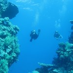 Daily Diving in Hurghada