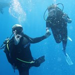 Daily Diving in Hurghada