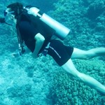 Daily Diving in Hurghada