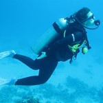 Daily Diving in Hurghada