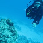 Daily Diving in Hurghada