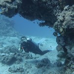 Daily Diving in Hurghada