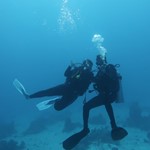 Daily Diving in Hurghada