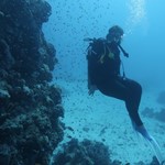 Daily Diving in Hurghada