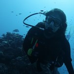 Daily Diving in Hurghada