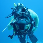 Daily Diving in Hurghada