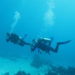 Daily Diving in Hurghada