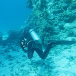 Daily Diving in Hurghada