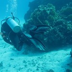 Daily Diving in Hurghada