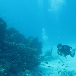 Daily Diving in Hurghada