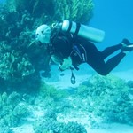 Daily Diving in Hurghada