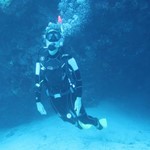 Daily Diving in Hurghada