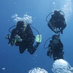 Daily Diving in Hurghada