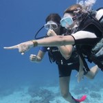 Daily Diving in Hurghada