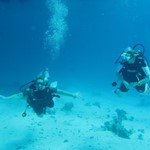 Daily Diving in Hurghada