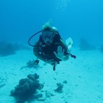 Daily Diving in Hurghada