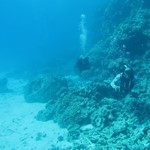 Daily Diving in Hurghada