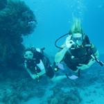 Daily Diving in Hurghada