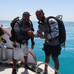 Daily Diving in Hurghada