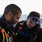 Daily Diving in Hurghada