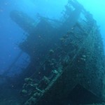 Daily Diving in Hurghada