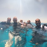 Daily Diving in Hurghada