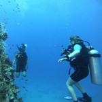 Daily Diving in Hurghada