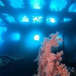 Daily Diving in Hurghada