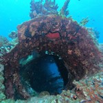 Daily Diving in Hurghada