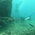 Daily Diving in Hurghada