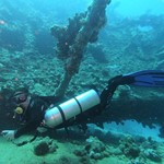 Daily Diving in Hurghada