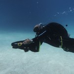 Daily Diving in Hurghada