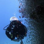 Daily Diving in Hurghada