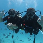 Daily Diving in Hurghada