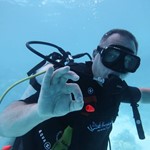 Daily Diving in Hurghada